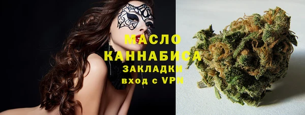 индика Абаза