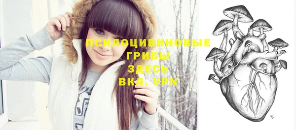 индика Абаза
