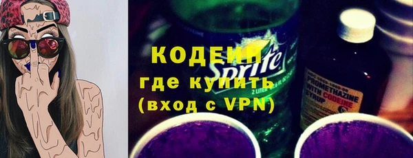 индика Абаза