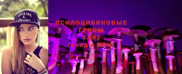 стаф Абинск