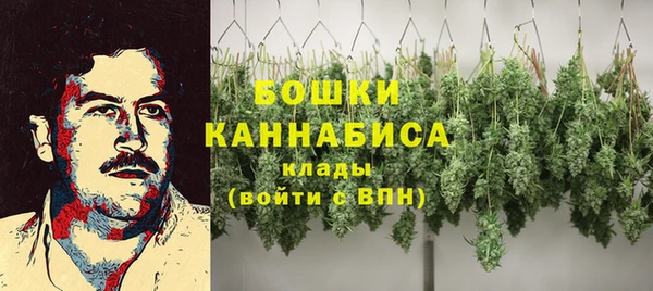 индика Абаза