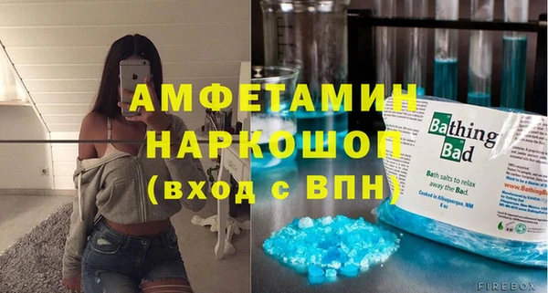 индика Абаза