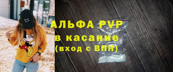 индика Абаза