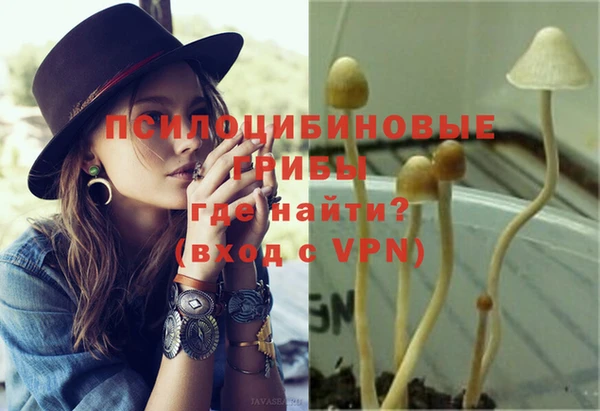 индика Абаза