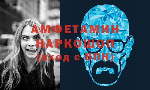 индика Абаза