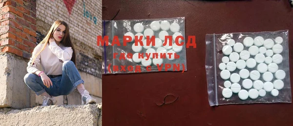 индика Абаза