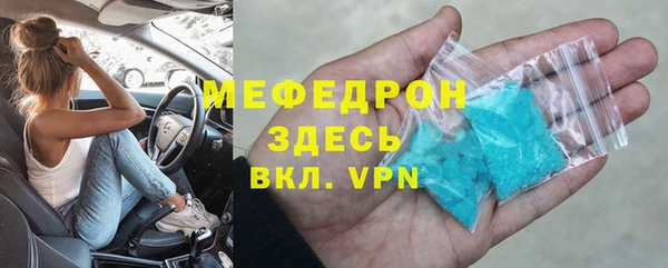 индика Абаза