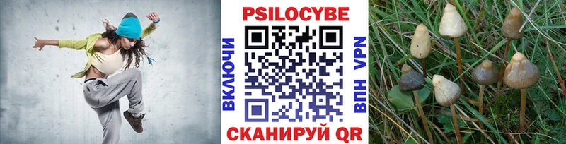 что такое   Партизанск  Псилоцибиновые грибы ЛСД 